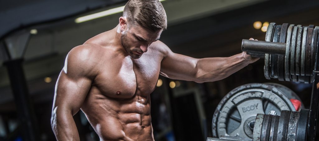 Muscle mass